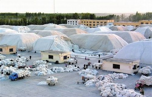 一師棉麻公司推進棉花產供銷體制改革